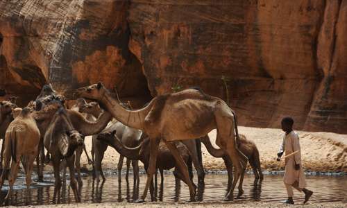 france 2 rencontre terre inconnue