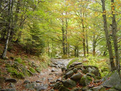 luchon octobre 2009 030.jpg