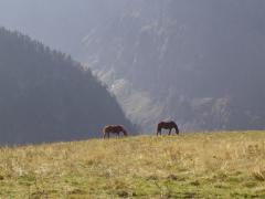 Luchon octobre 2007 173.jpg