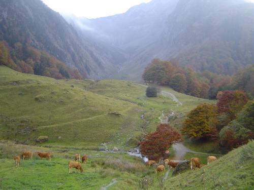 Luchon octobre 2007 207.jpg