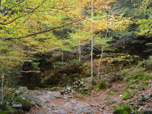 luchon octobre 2009 028.jpg