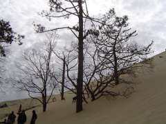 LA dune du pyla 040.jpg