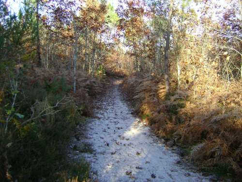 ballade du 29.10.09 020.JPG