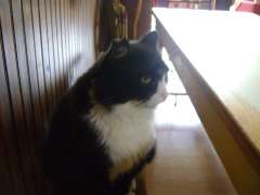 DSC09653.JPG