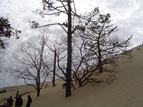 LA dune du pyla 040.jpg