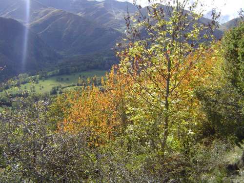 luchon octobre 2009 101.jpg