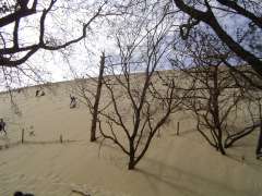 LA dune du pyla 038.jpg